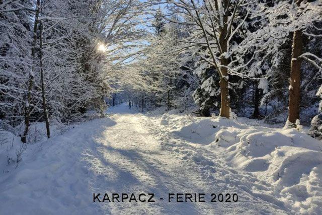 Karpacz4you - - Parking - Wiosna W Gorach 2025 - Skalny Stol 2,4 H